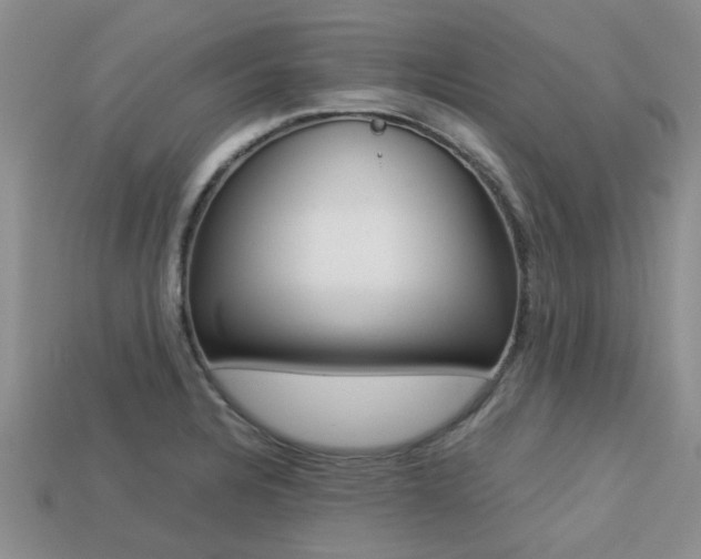 X0000113221328200909100914