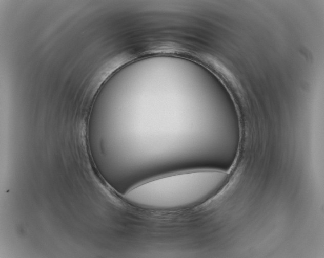 X0000113221329200909100914