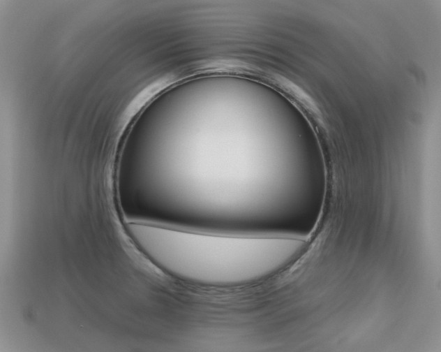 X0000113221330200909100914