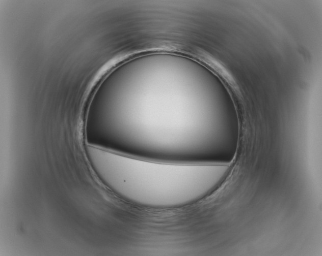X0000113221332200909100914