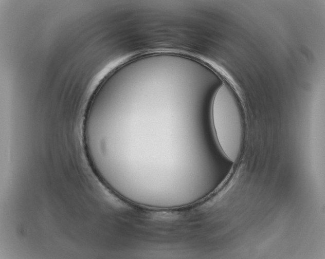 X0000113221333200909100914