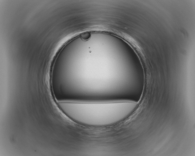 X0000113221334200909100914