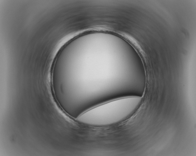 X0000113221335200909100914