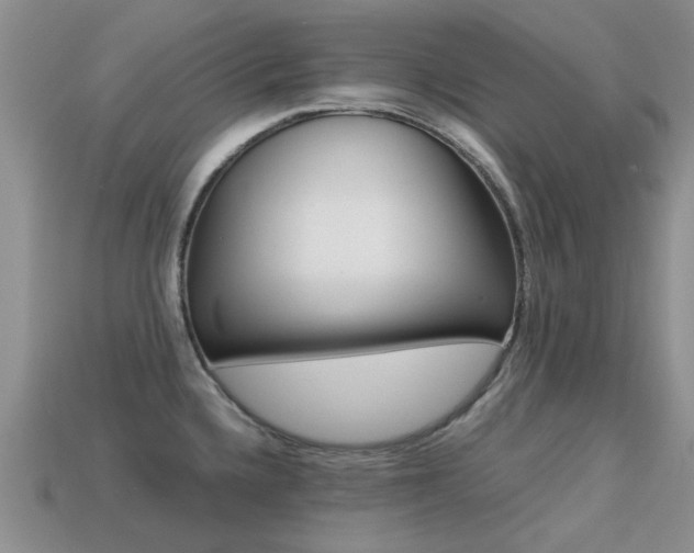 X0000113221336200909100914