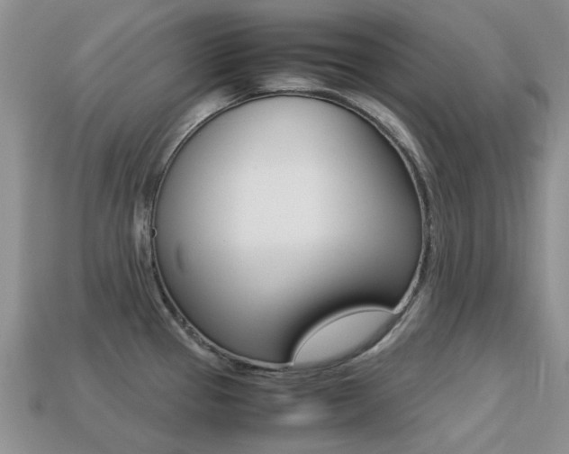 X0000113221337200909100914