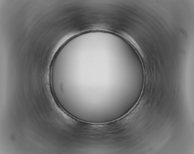 X0000113221339200909100914