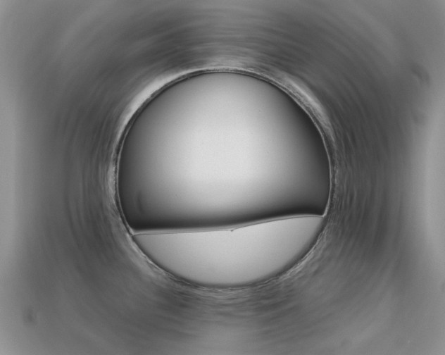 X0000113221340200909100914