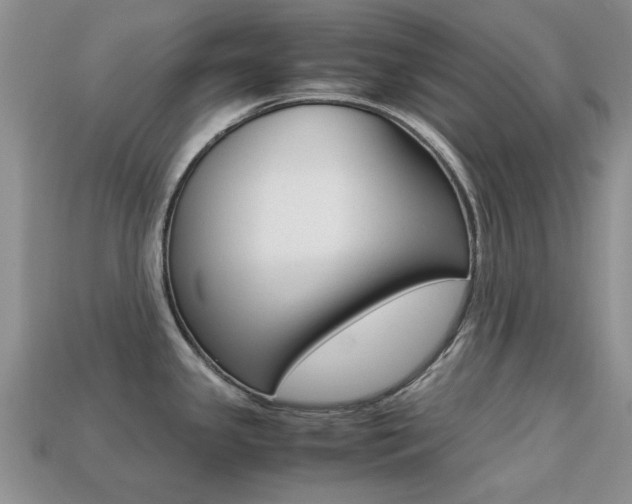 X0000113221341200909100914
