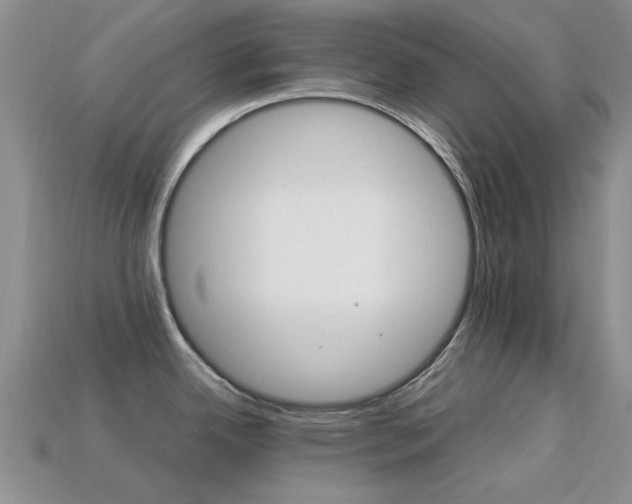 X0000113221342200909100914