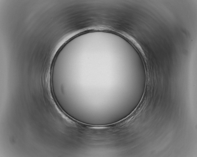 X0000113221343200909100914