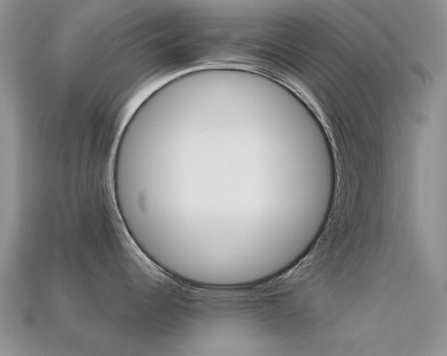 X0000113221344200909100914