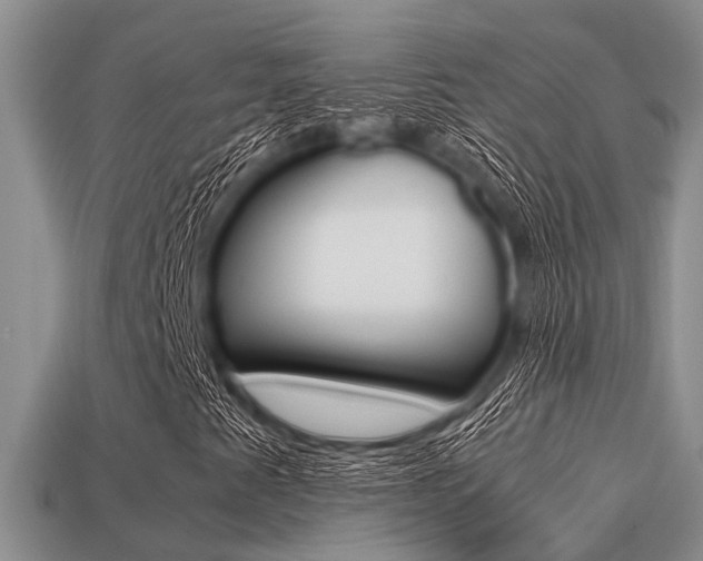 X0000113221345200909100914