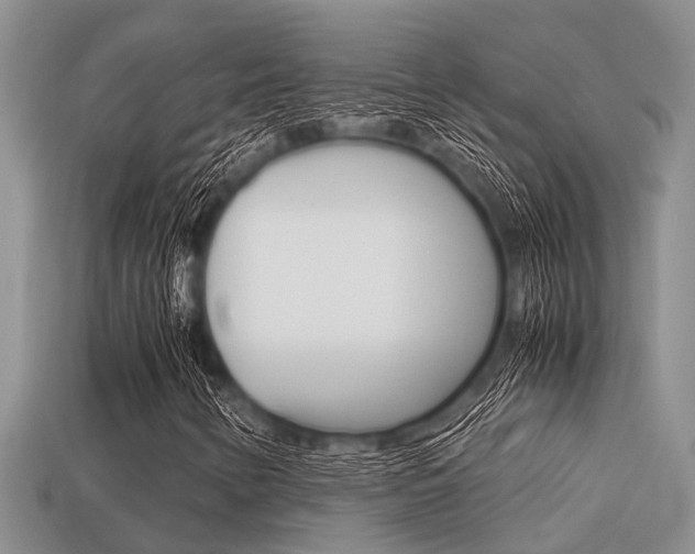 X0000113221346200909100914