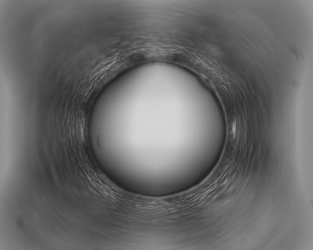 X0000113221348200909100914