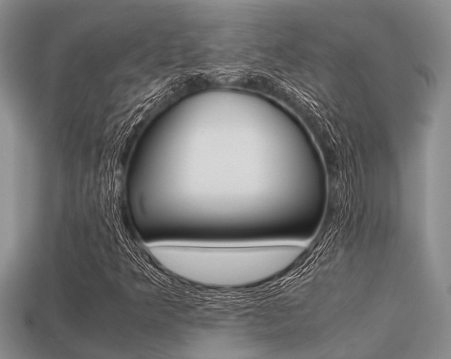 X0000113221349200909100914