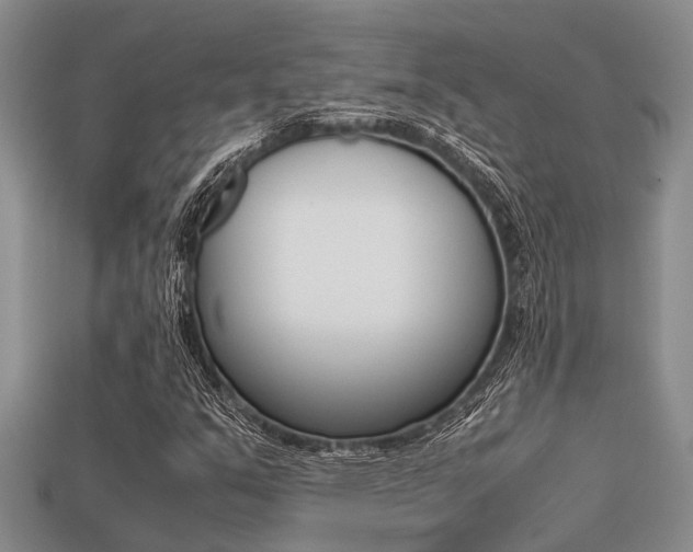 X0000113221351200909100913