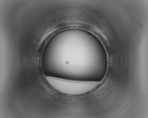 X0000113221352200909100913