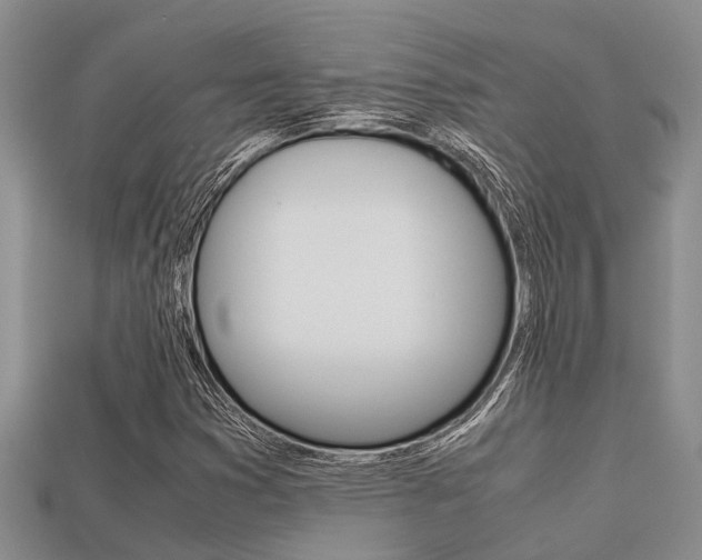 X0000113221353200909100913