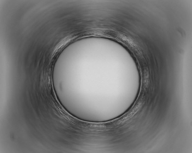 X0000113221354200909100913