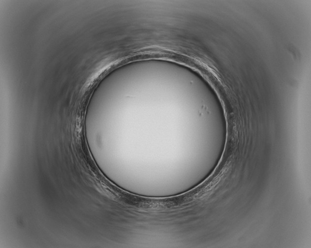 X0000113221355200909100913
