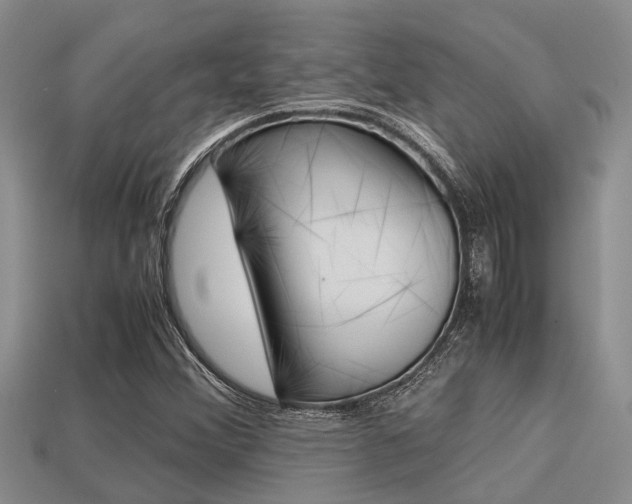 X0000113221356200909100913