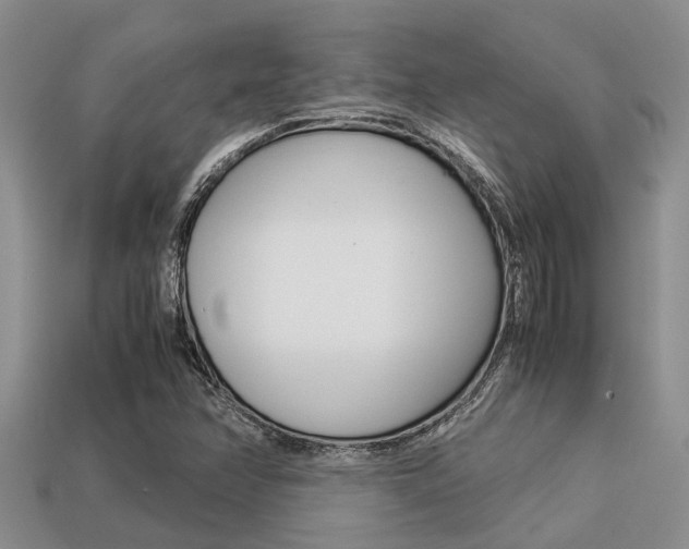 X0000113221358200909100913