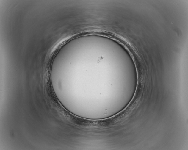 X0000113221359200909100913