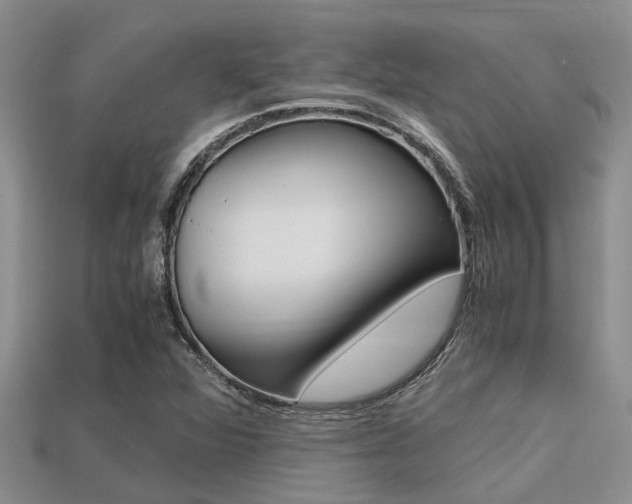 X0000113221360200909100913