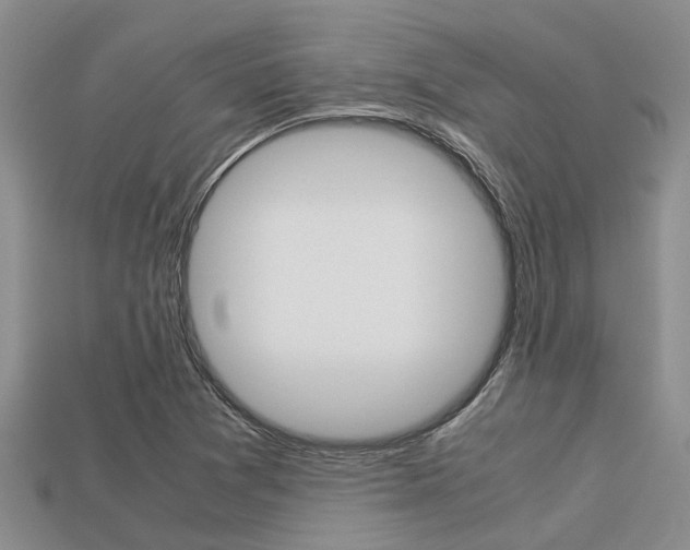 X0000113221361200909100913