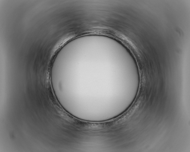 X0000113221362200909100913