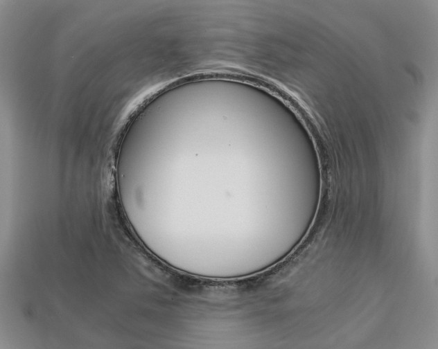 X0000113221363200909100913