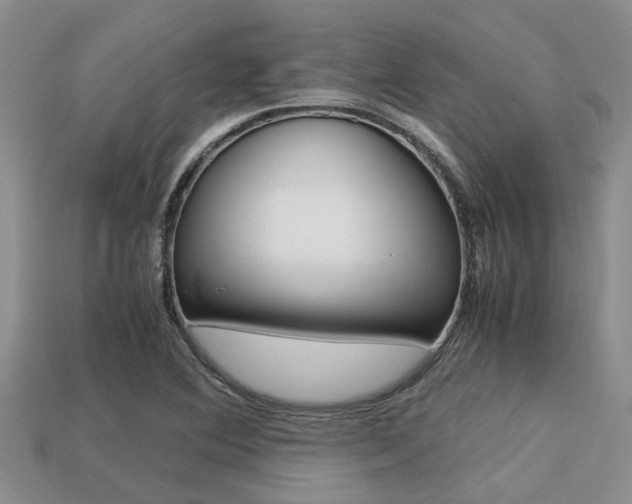 X0000113221364200909100913