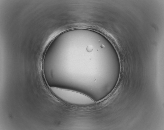 X0000113221365200909100913