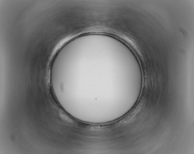 X0000113221366200909100913