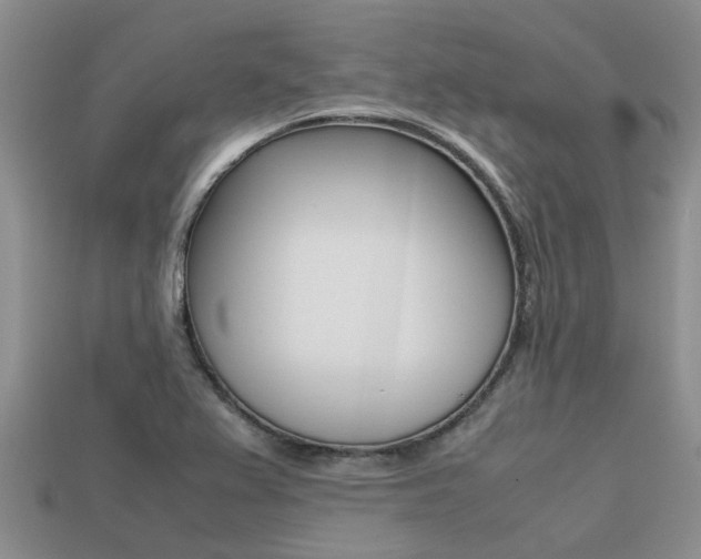 X0000113221367200909100913