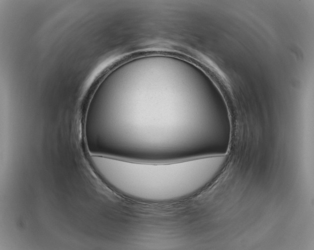 X0000113221368200909100913