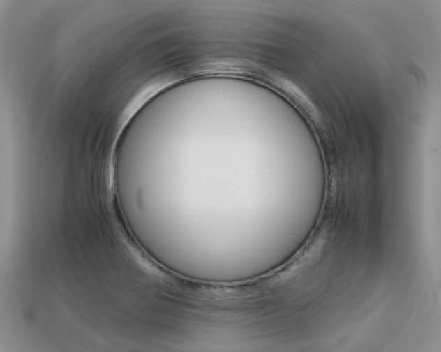 X0000113221370200909100913