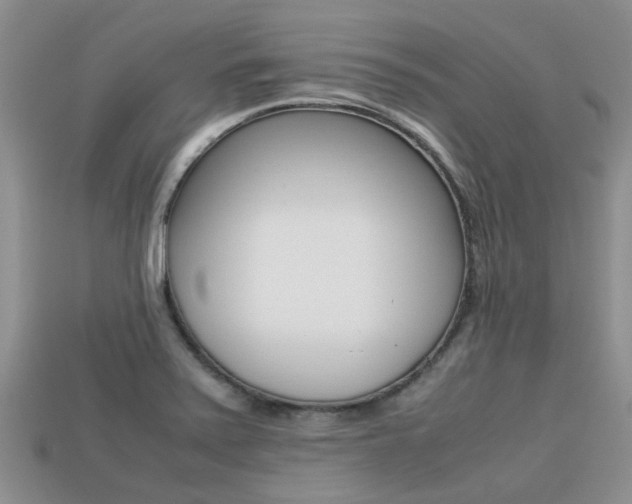 X0000113221371200909100913
