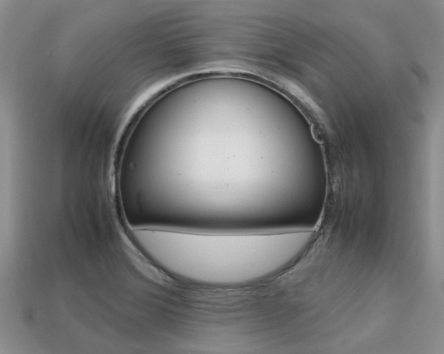 X0000113221372200909100913