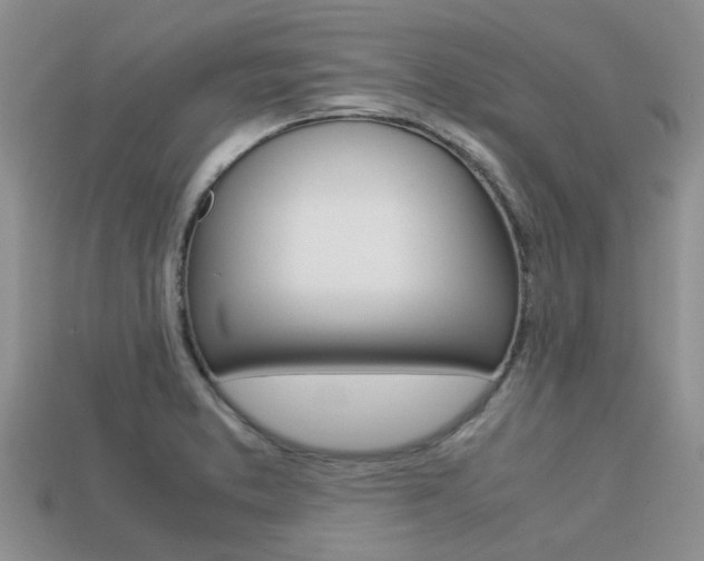 X0000113221373200909100913