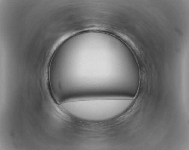 X0000113221375200909100913
