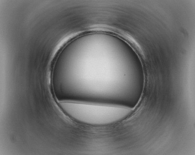 X0000113221376200909100913
