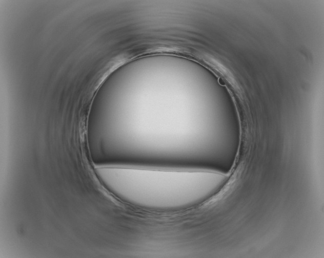 X0000113221377200909100913