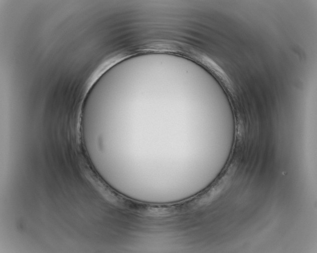 X0000113221378200909100913