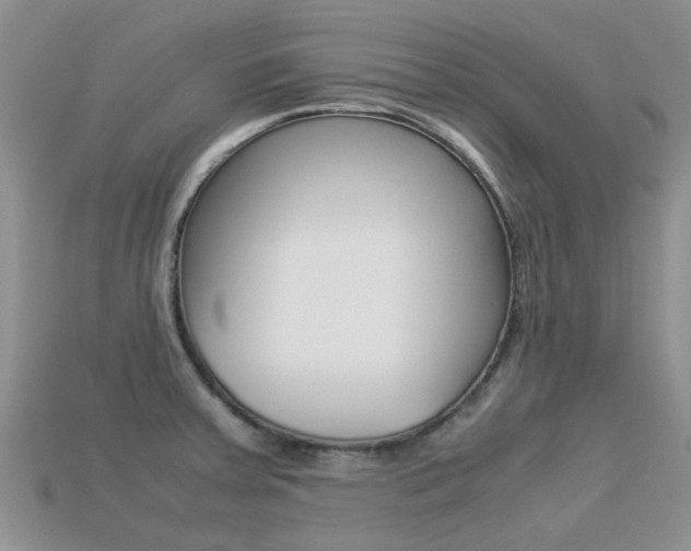 X0000113221379200909100913