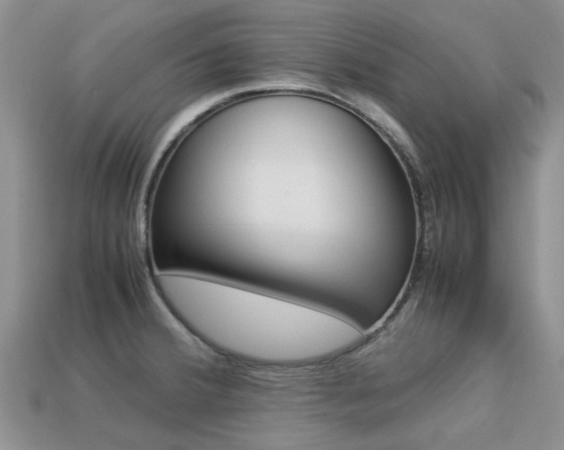 X0000113221380200909100913