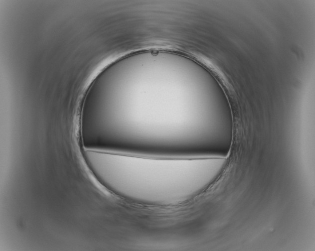 X0000113221383200909100913