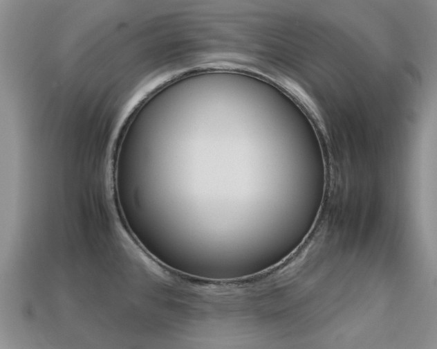 X0000113221384200909100913