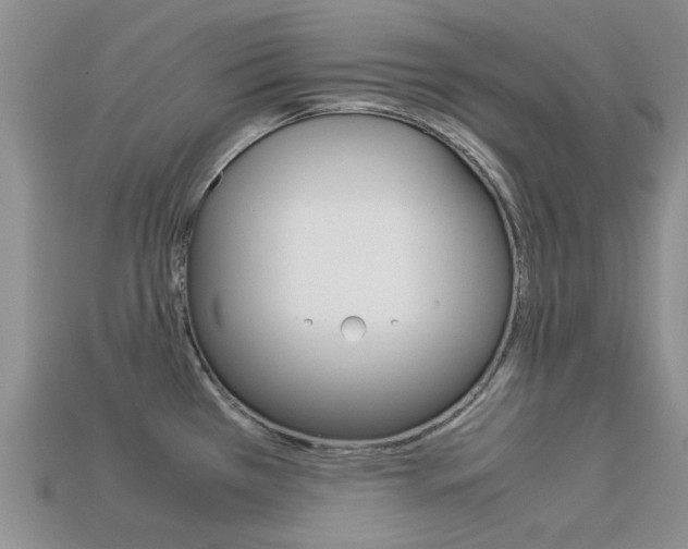 X0000113221385200909100913