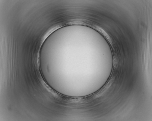 X0000113221386200909100913